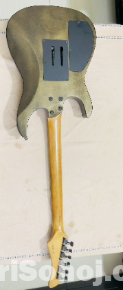 Fernandes Electric Guiter